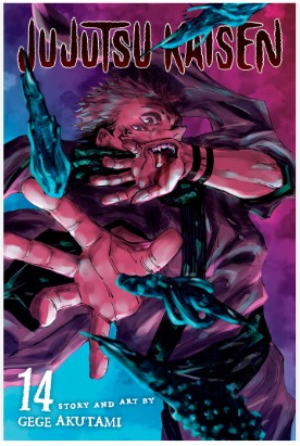 JUJUTSU KAISEN V14JUJUTSU KAISEN V14